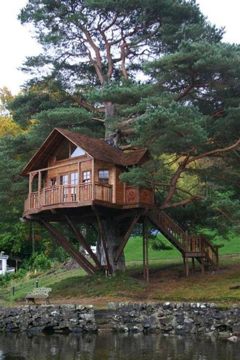 Baum Haus - Gebäude Tipps